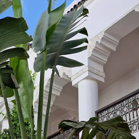Riad Dar El Mahja-2
